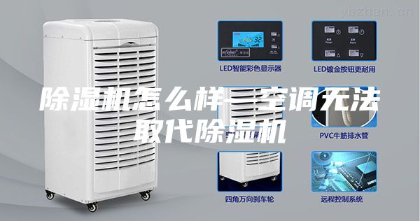 除湿机怎么样—空调无法取代除湿机