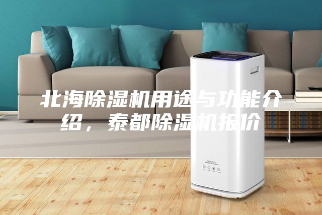 北海除湿机用途与功能介绍，泰都除湿机报价