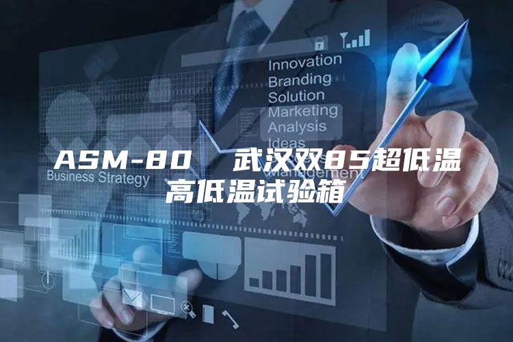 ASM-80  武汉双85超低温高低温试验箱