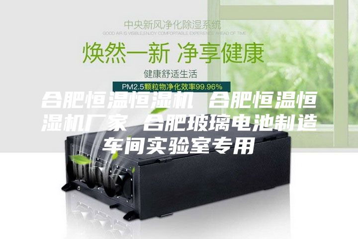 合肥恒温恒湿机 合肥恒温恒湿机厂家 合肥玻璃电池制造车间实验室专用