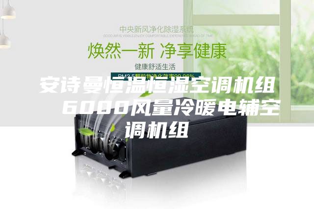 安诗曼恒温恒湿空调机组  6000风量冷暖电辅空调机组
