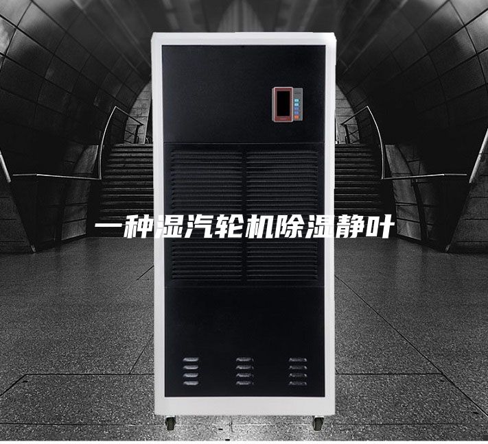 一种湿汽轮机除湿静叶