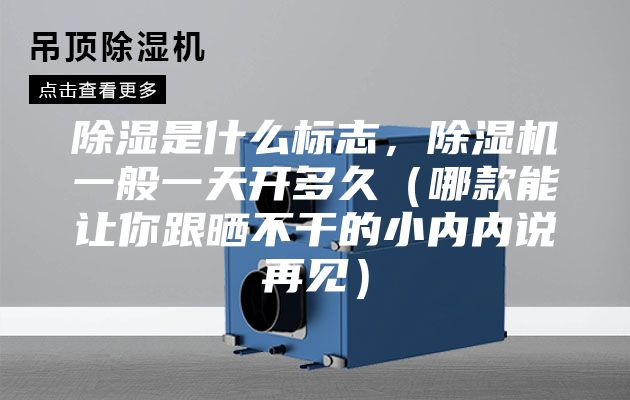 除湿是什么标志，除湿机一般一天开多久（哪款能让你跟晒不干的小内内说再见）