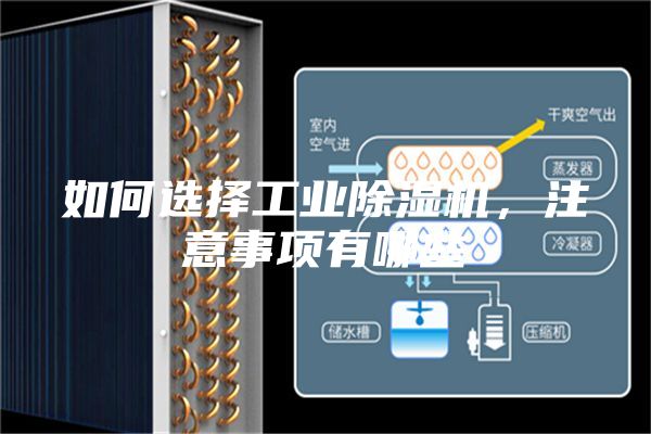 如何选择工业除湿机，注意事项有哪些