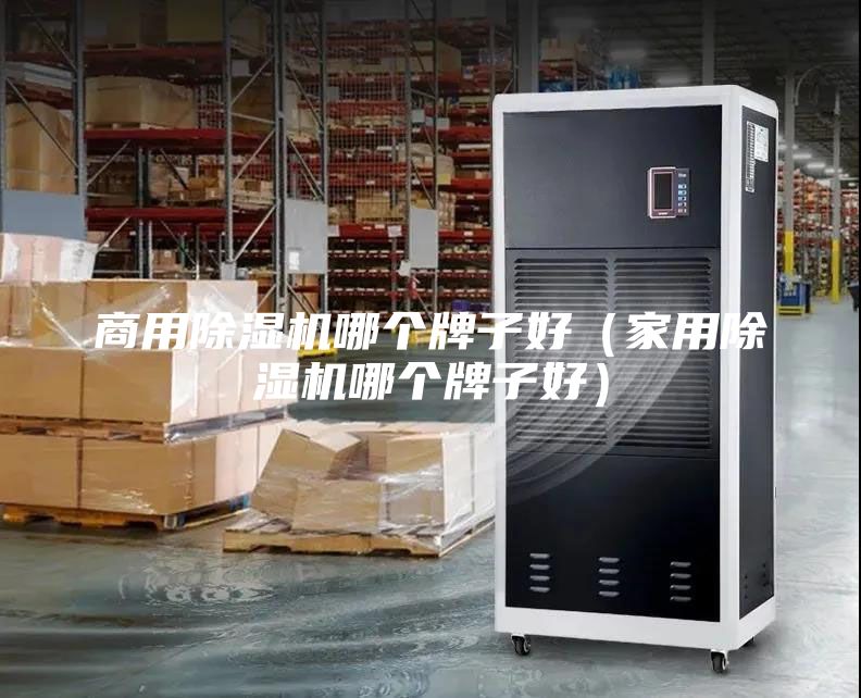 商用除湿机哪个牌子好（家用除湿机哪个牌子好）