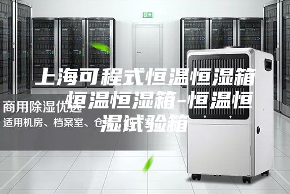 上海可程式恒温恒湿箱  恒温恒湿箱-恒温恒湿试验箱