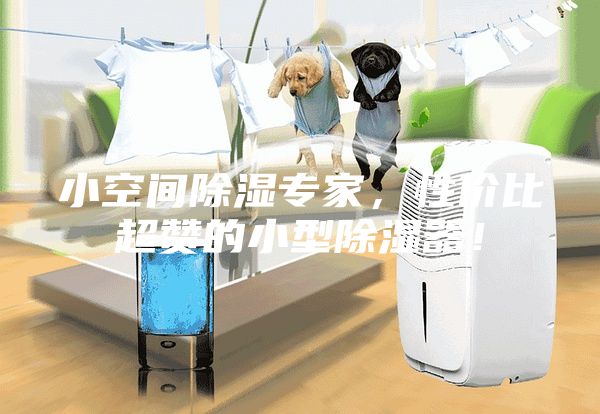 小空间除湿专家，性价比超赞的小型除湿器！