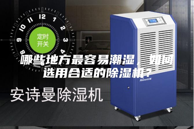 哪些地方最容易潮湿，如何选用合适的除湿机？