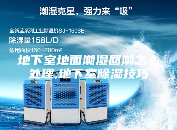 地下室地面潮湿回潮怎么处理,地下室除湿技巧