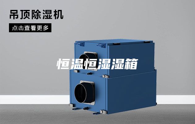 恒温恒湿湿箱