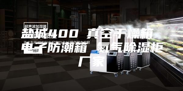 盐城400℃真空干燥箱 电子防潮箱 氮气除湿柜厂家