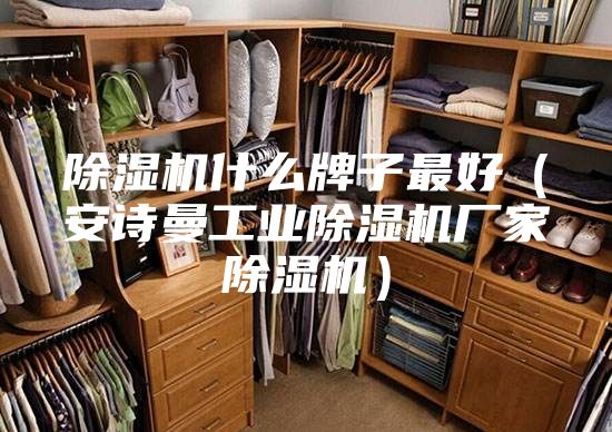 除湿机什么牌子最好（安诗曼工业除湿机厂家除湿机）