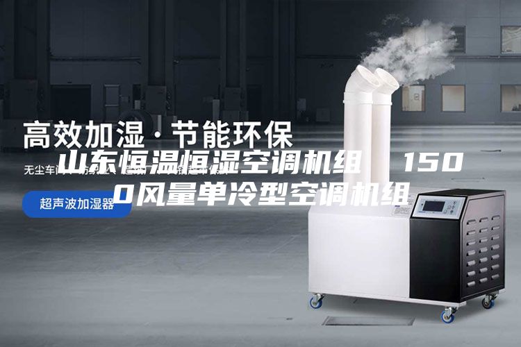 山东恒温恒湿空调机组  1500风量单冷型空调机组