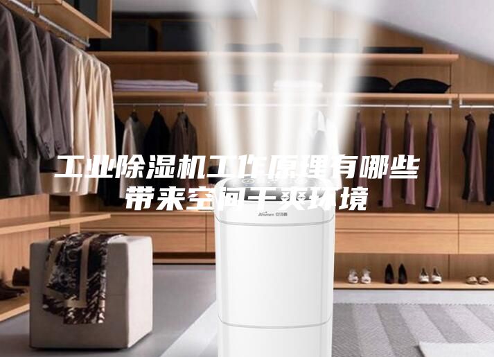 工业除湿机工作原理有哪些 带来空间干爽环境