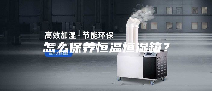 怎么保养恒温恒湿箱？