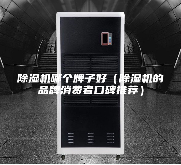 除湿机哪个牌子好（除湿机的品牌消费者口碑推荐）