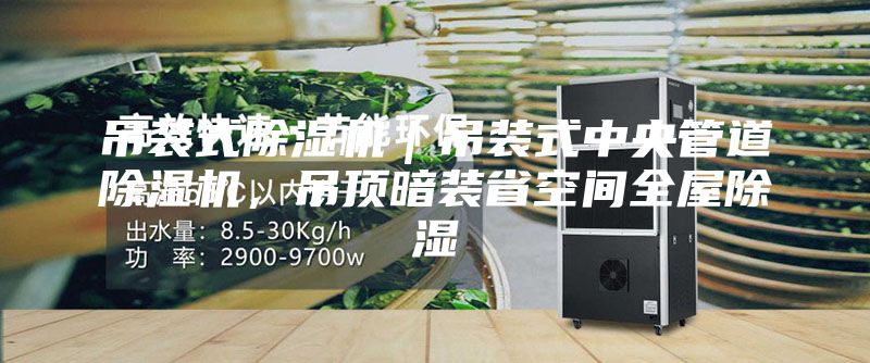 吊装式除湿机｜吊装式中央管道除湿机，吊顶暗装省空间全屋除湿