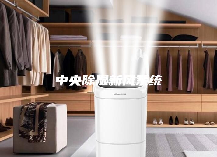 中央除湿新风系统