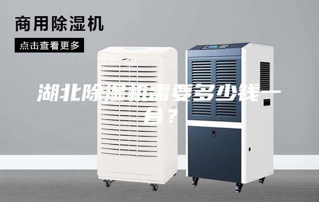 湖北除湿机需要多少钱一台？