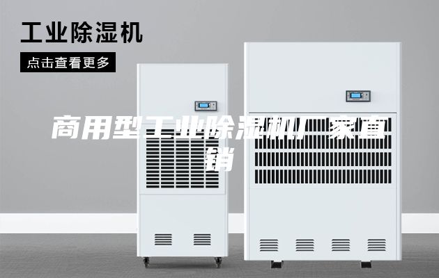 商用型工业除湿机厂家直销