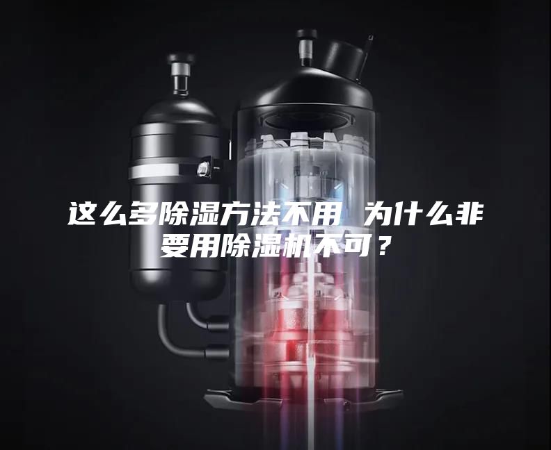 这么多除湿方法不用 为什么非要用除湿机不可？