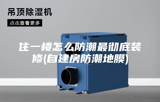 住一楼怎么防潮最彻底装修(自建房防潮地膜)