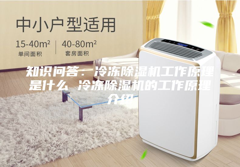 知识问答：冷冻除湿机工作原理是什么 冷冻除湿机的工作原理介绍