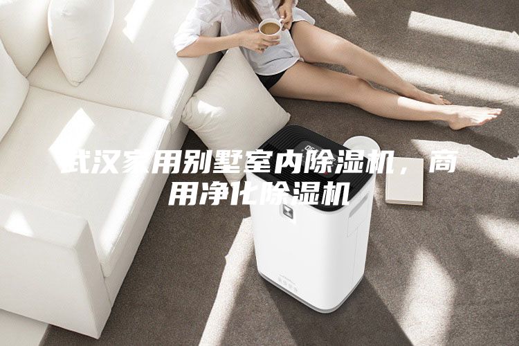 武汉家用别墅室内除湿机，商用净化除湿机