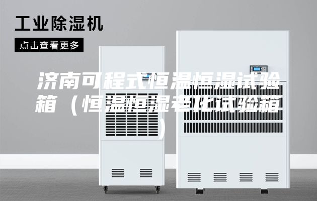 济南可程式恒温恒湿试验箱（恒温恒湿老化试验箱）