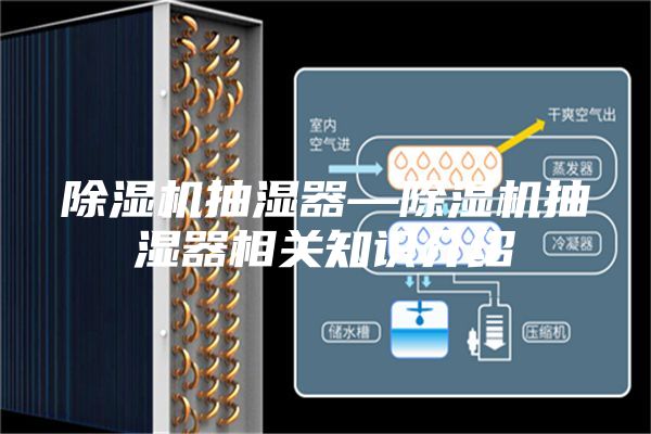 除湿机抽湿器—除湿机抽湿器相关知识介绍