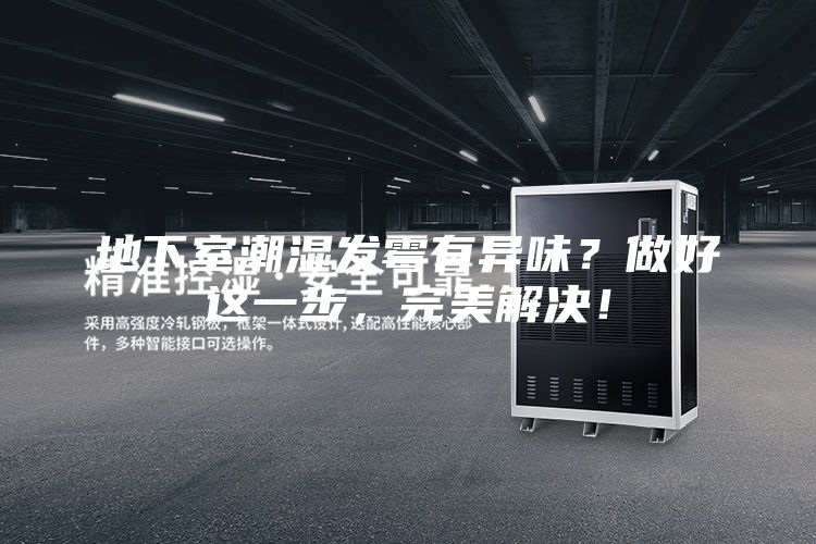 地下室潮湿发霉有异味？做好这一步，完美解决！