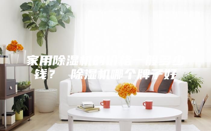 家用除湿机的价格一般多少钱？ 除湿机哪个牌子好