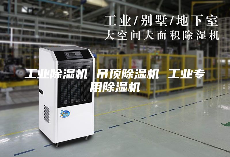 工业除湿机 吊顶除湿机 工业专用除湿机
