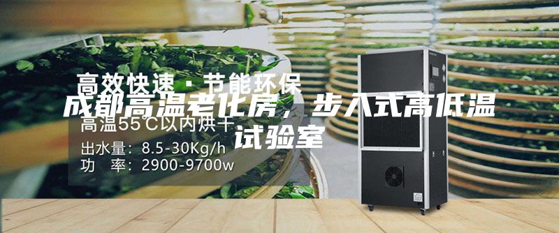 成都高温老化房，步入式高低温试验室