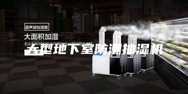 大型地下室防潮抽湿机
