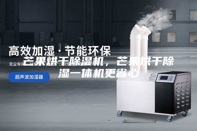 芒果烘干除湿机，芒果烘干除湿一体机更省心