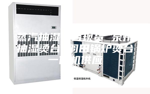 蒸汽抽湿烫台现货 泉州抽湿烫台 羽田锅炉烫台一体机供应