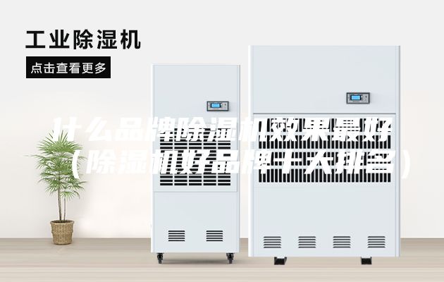 什么品牌除湿机效果最好（除湿机好品牌十大排名）