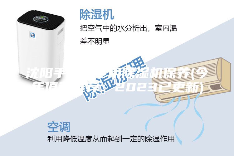 沈阳手套箱专用除湿机保养(今年值得推荐：2023已更新)