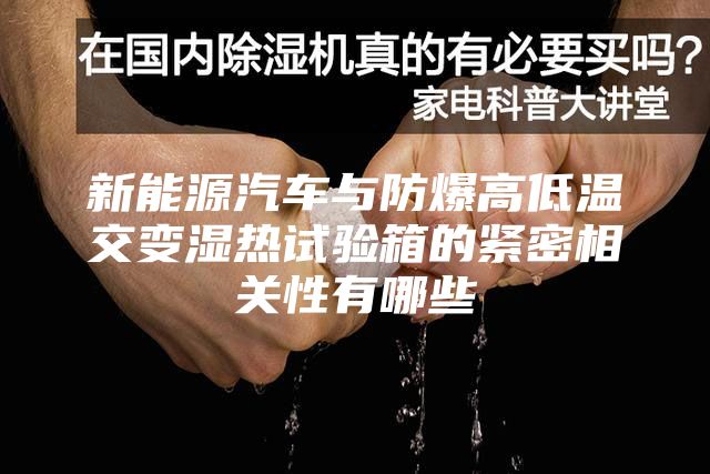 新能源汽车与防爆高低温交变湿热试验箱的紧密相关性有哪些