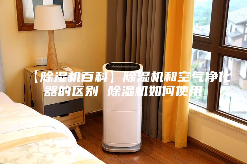 【除湿机百科】除湿机和空气净化器的区别 除湿机如何使用