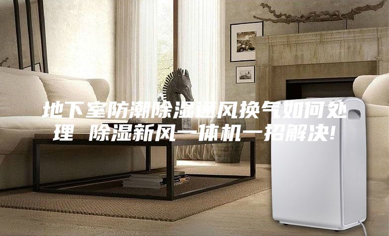 地下室防潮除湿通风换气如何处理 除湿新风一体机一招解决!