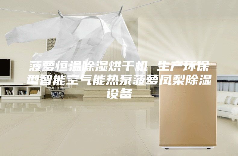 菠萝恒温除湿烘干机 生产环保型智能空气能热泵菠萝凤梨除湿设备