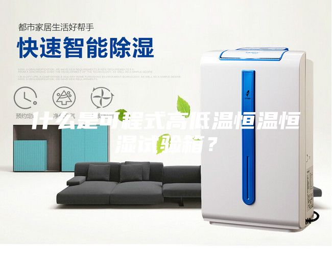 什么是可程式高低温恒温恒湿试验箱？