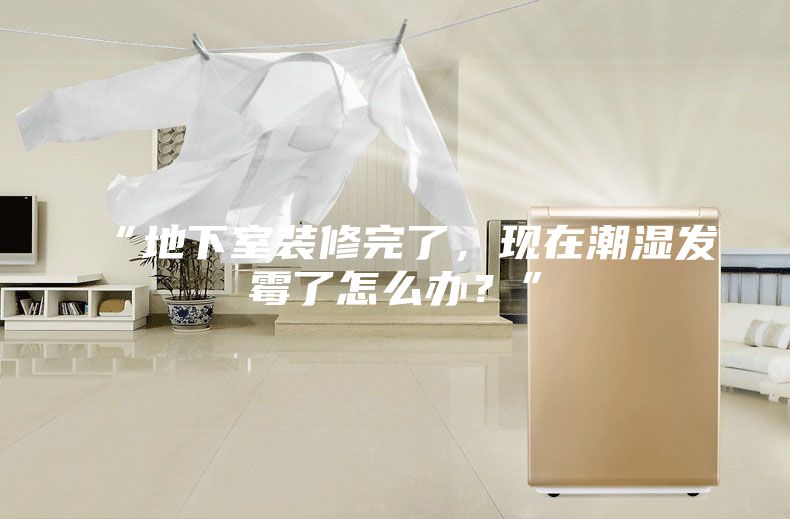 “地下室装修完了，现在潮湿发霉了怎么办？”