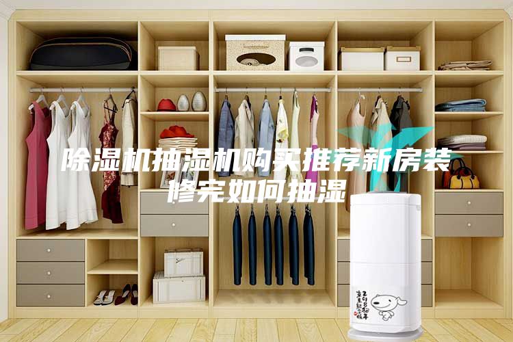 除湿机抽湿机购买推荐新房装修完如何抽湿