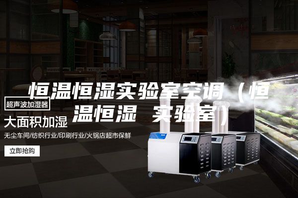 恒温恒湿实验室空调（恒温恒湿 实验室）