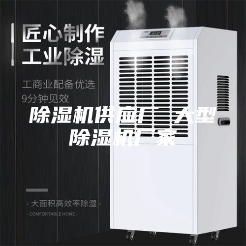 除湿机供应厂 大型除湿机厂家