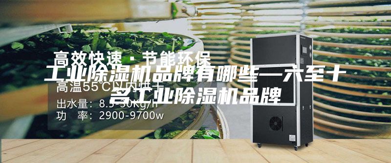 工业除湿机品牌有哪些—六至十名工业除湿机品牌