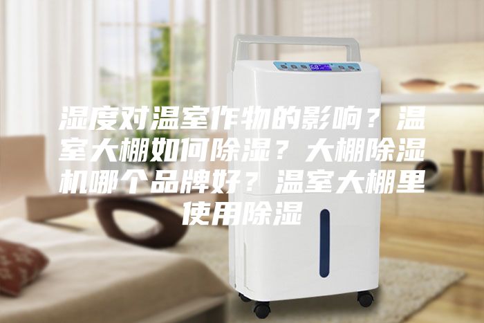 湿度对温室作物的影响？温室大棚如何除湿？大棚除湿机哪个品牌好？温室大棚里使用除湿